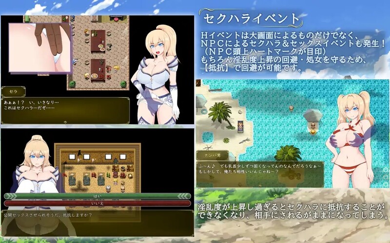 [日式RPG/汉化] 塞拉与诺艾尔～俘虏公主的去向～ セラ&ノエル～囚われしプリンセスの行方～ v2.0 精翻版 [PC+安卓 3.40G]