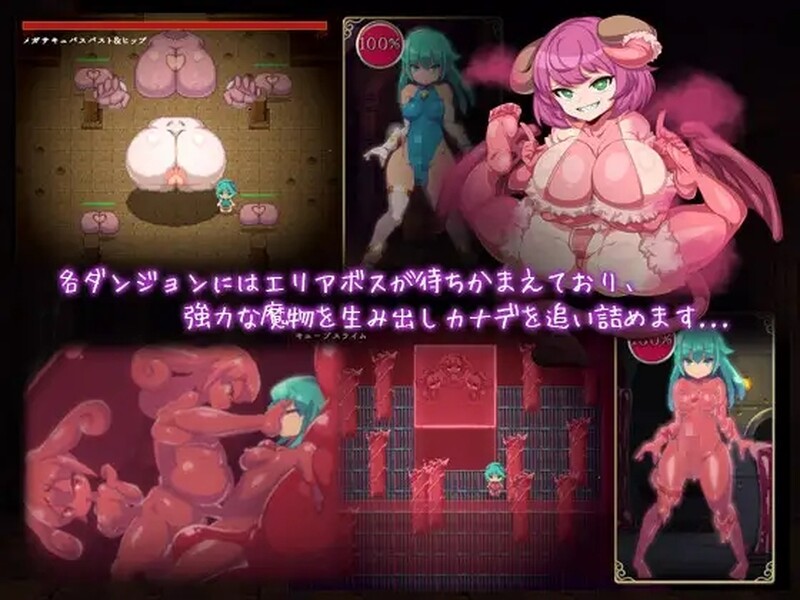 [日式ACT] 魔导士小奏的扶她地牢探险 魔導士カナデのふたなりダンジョンQuest  官中步兵版+全回想存档 [PC+安卓2.20G]