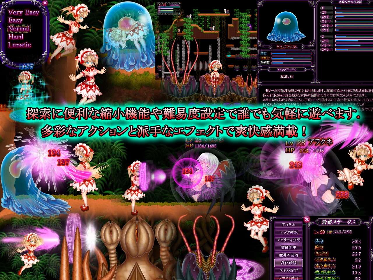 先行体验[大型ACT/动态] 爱丽丝与魔窟迷宫 アイリスと魔窟のラビリンス 生肉版 [5.80G]
